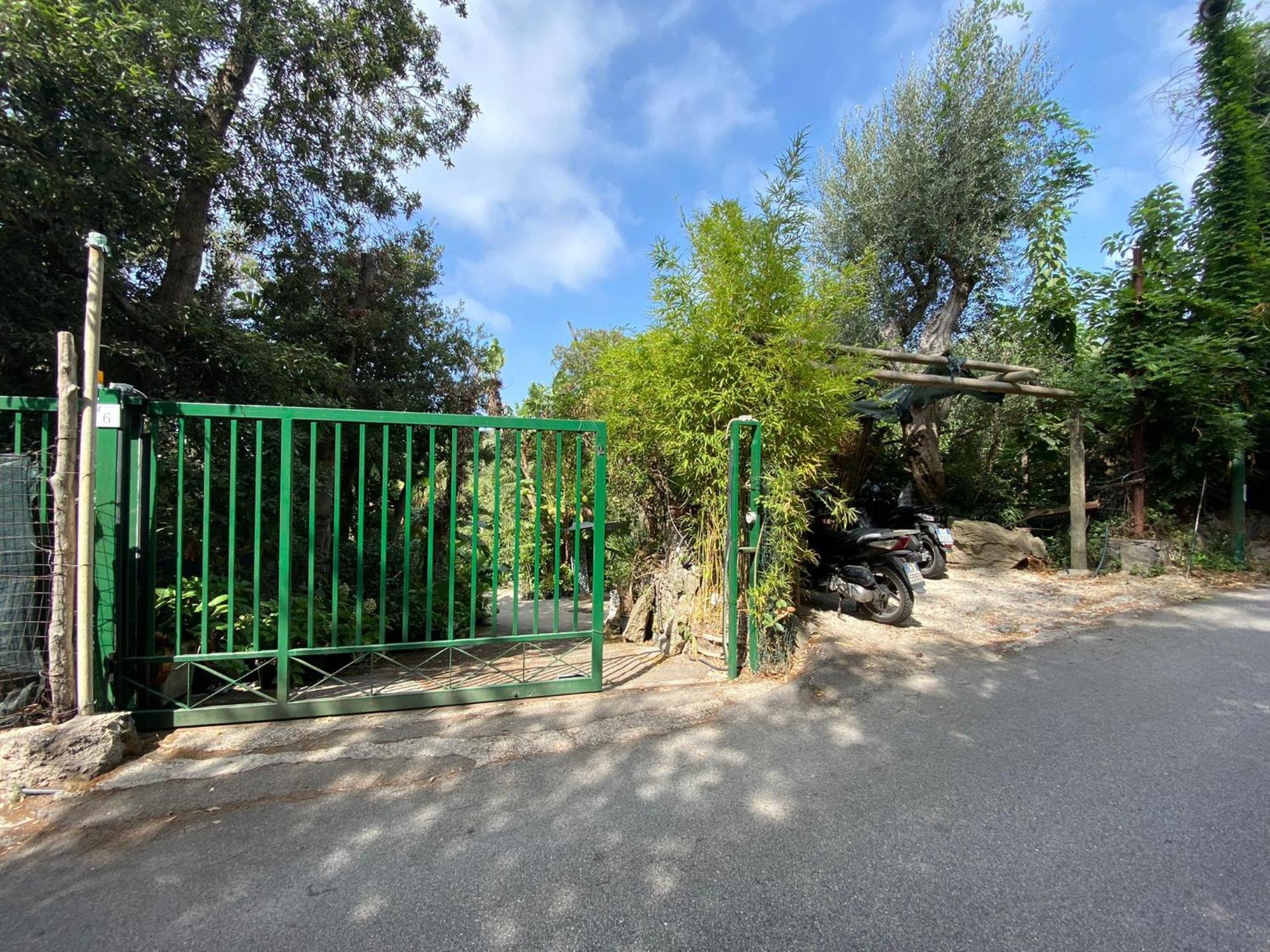 Le Dimore Di Zaro - Green Paradise Forio  Номер фото